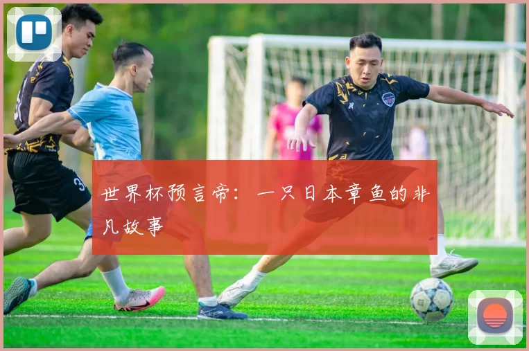 世界杯预言帝：一只日本章鱼的非凡故事