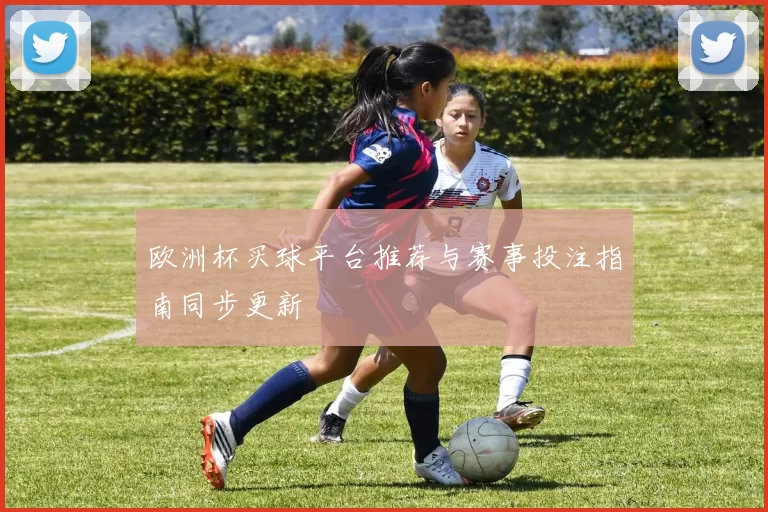 欧洲杯买球平台推荐与赛事投注指南同步更新