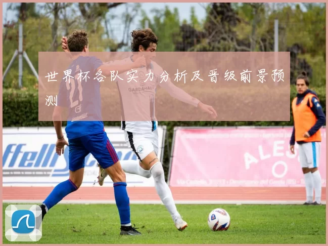 世界杯各队实力分析及晋级前景预测