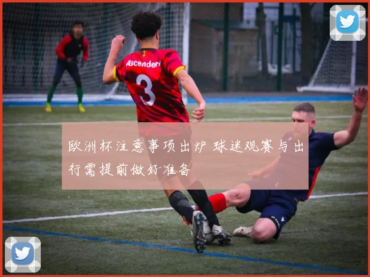 欧洲杯注意事项出炉 球迷观赛与出行需提前做好准备