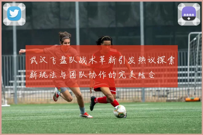 武汉飞盘队战术革新引发热议探索新玩法与团队协作的完美结合
