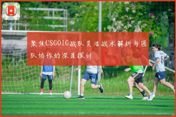 聚焦CSGOIG战队灵活战术解析与团队协作的深度探讨