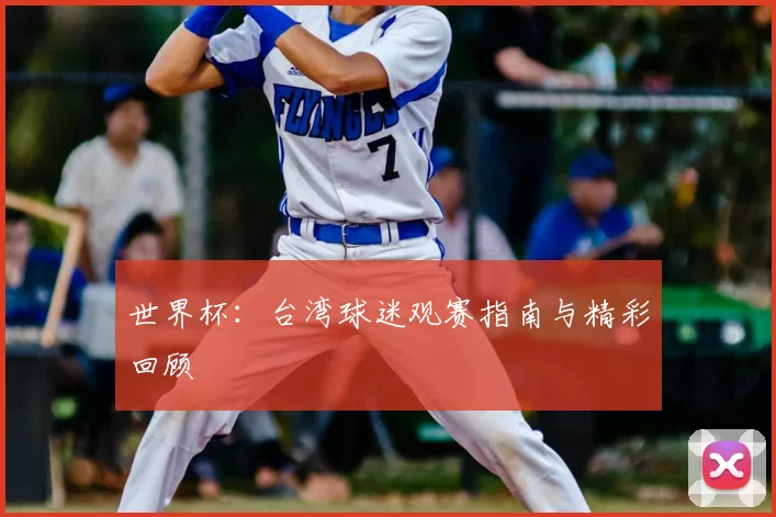 世界杯:台湾球迷观赛指南与精彩回顾