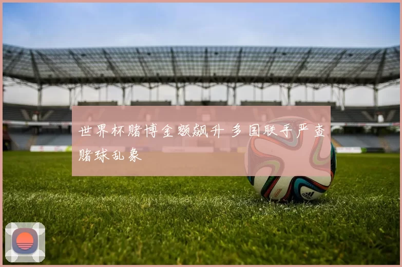 世界杯赌博金额飙升 多国联手严查赌球乱象