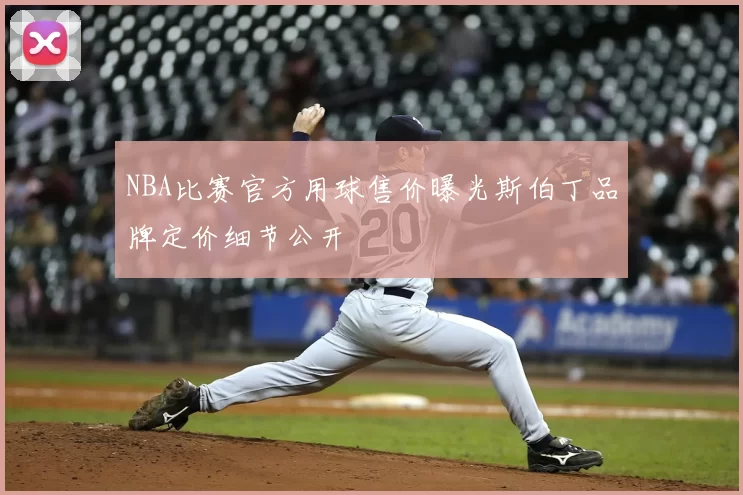 NBA比赛官方用球售价曝光斯伯丁品牌定价细节公开