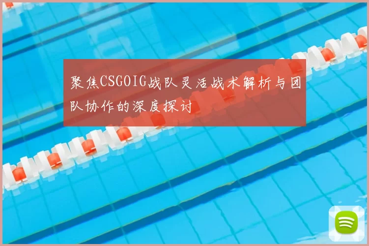 聚焦CSGOIG战队灵活战术解析与团队协作的深度探讨