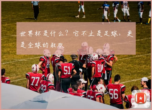 世界杯是什么？它不止是足球，更是全球的狂欢